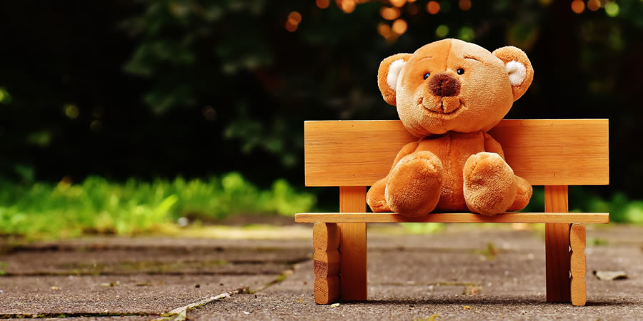Interpreting for social services professionals
