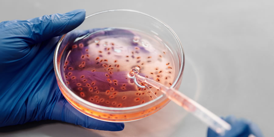 Life sciences